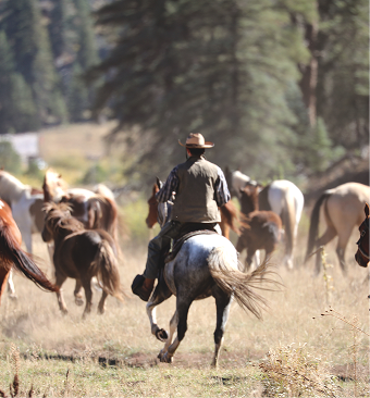 Home_Carousel_Temp_5