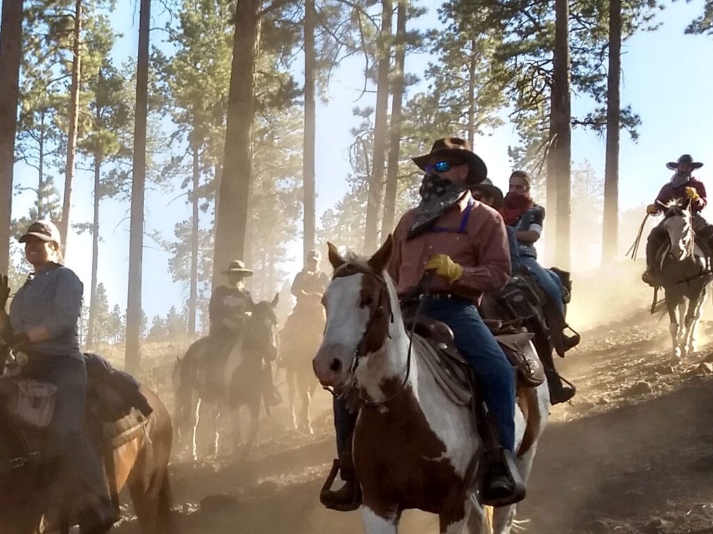 Dusty Horse Drive Arizona Dude Ranch