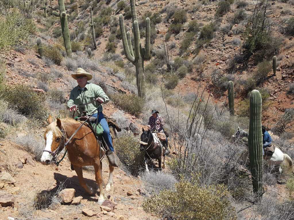 Epic Ride Rough Terrain Arizona Dude Ranch