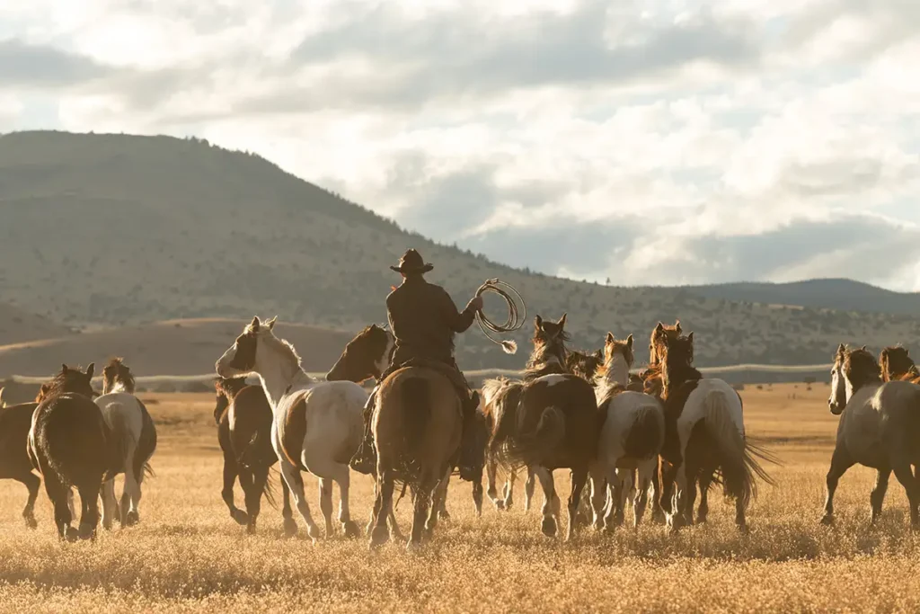 Horse Drive at our dude ranch in Arizona