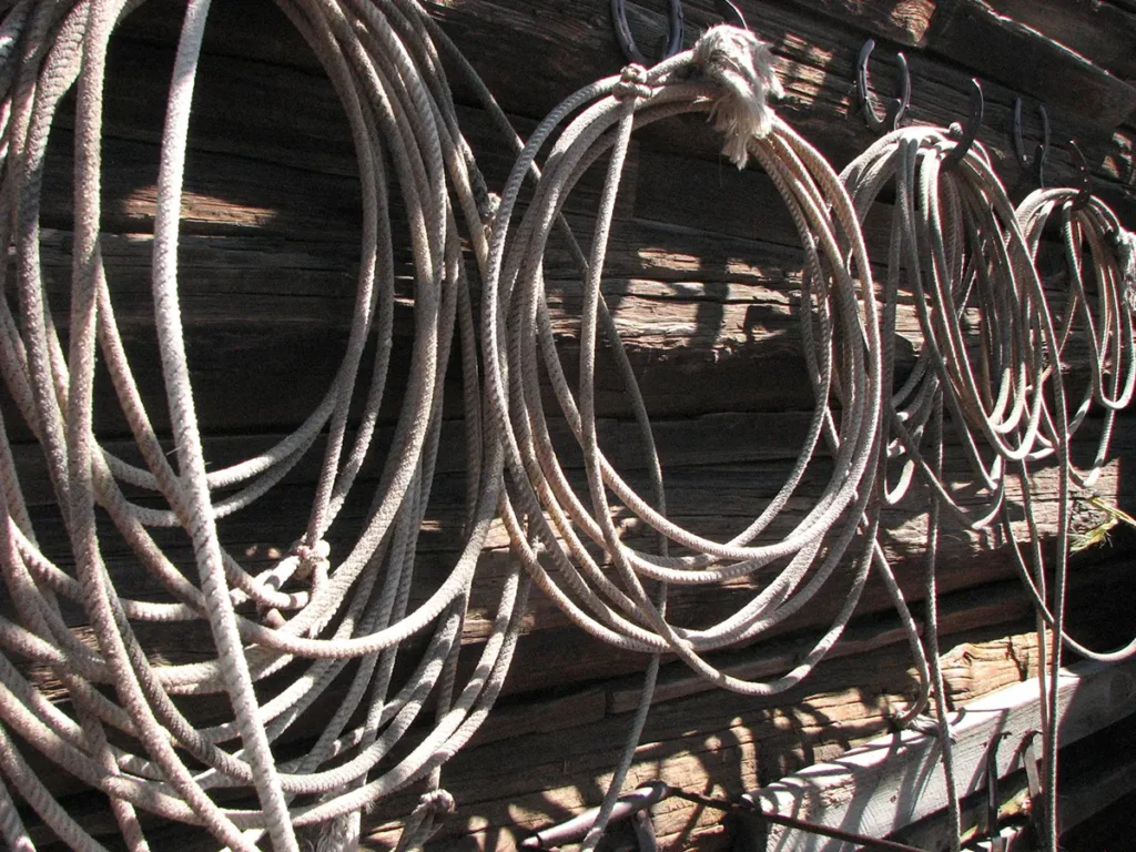 gallery trailride IMG 1063 Arizona Dude Ranch